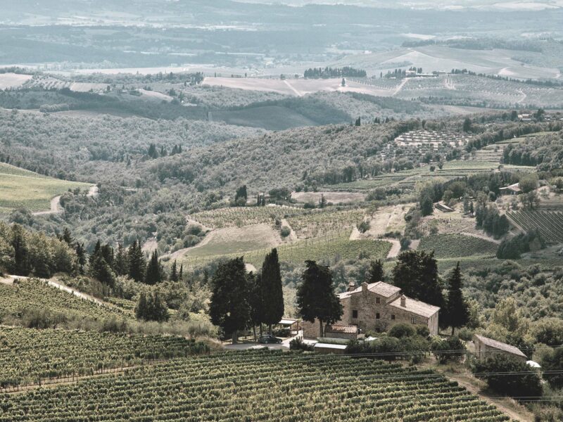Linguini Napa Valley Winery